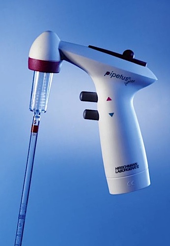 Pipetus Junior
